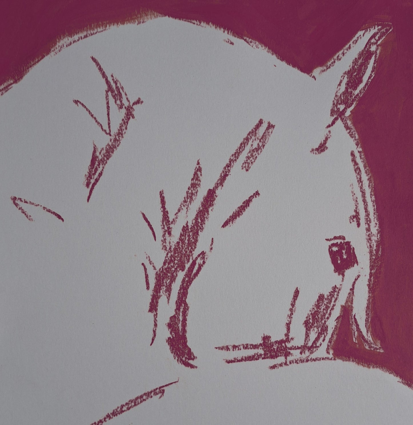 Horse colorful Magenta