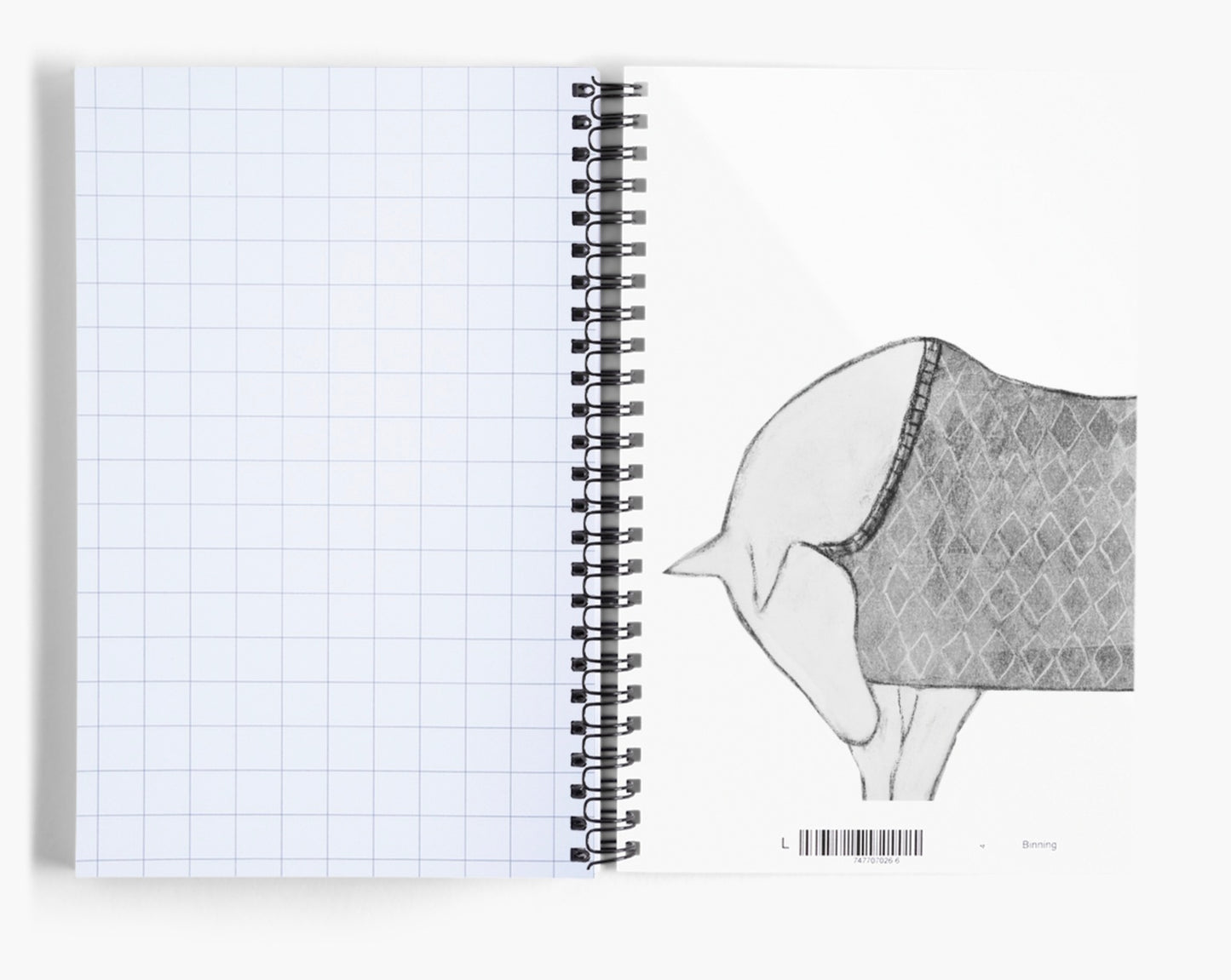 Notizbuch Spiralbindung art cheval , türkis