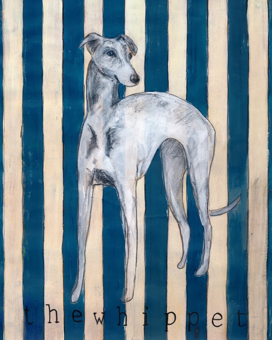 "Whitppet stripes"